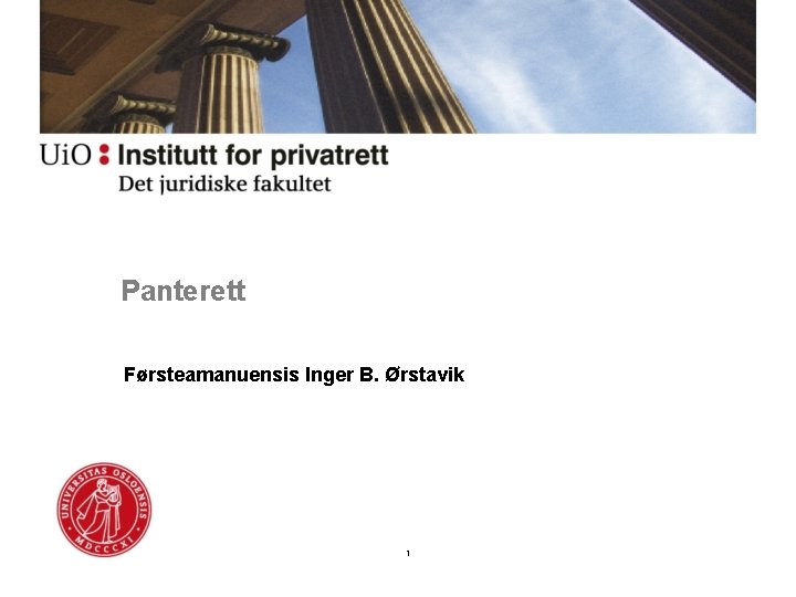 Panterett Førsteamanuensis Inger B. Ørstavik 1 