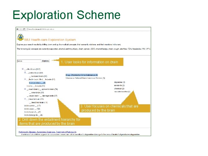 Exploration Scheme 1. User looks for information on brain 3. User focuses on chemicals