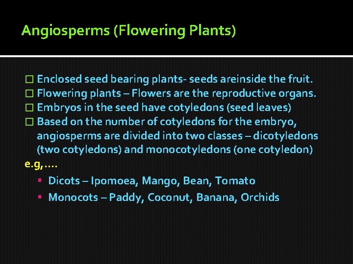 Angiosperms (Flowering Plants) � Enclosed seed bearing plants- seeds areinside the fruit. � Flowering