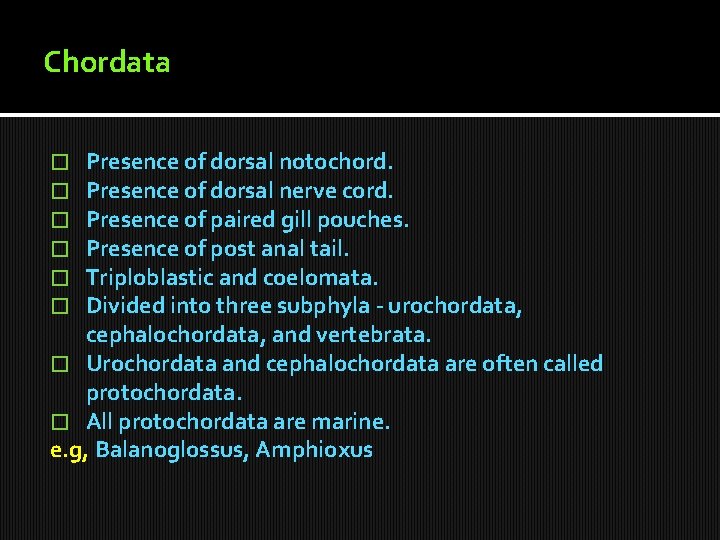 Chordata Presence of dorsal notochord. Presence of dorsal nerve cord. Presence of paired gill