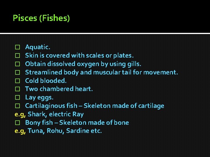 Pisces (Fishes) Aquatic. Skin is covered with scales or plates. Obtain dissolved oxygen by