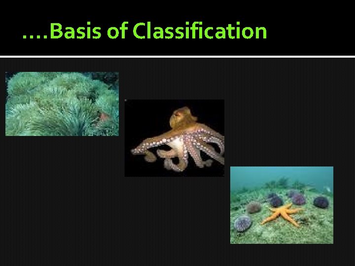 …. Basis of Classification 