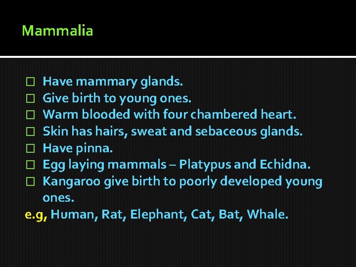 Mammalia Have mammary glands. Give birth to young ones. Warm blooded with four chambered