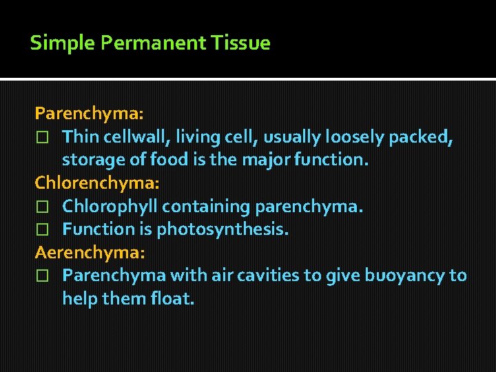 Simple Permanent Tissue Parenchyma: � Thin cellwall, living cell, usually loosely packed, storage of