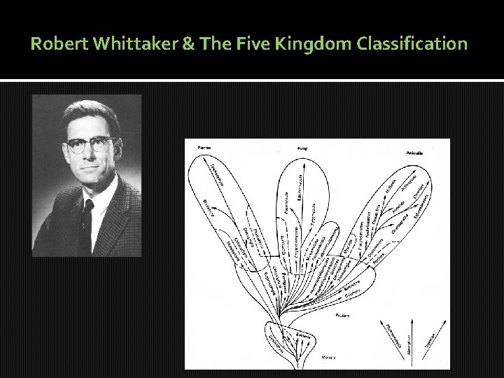 Robert Whittaker & The Five Kingdom Classification 