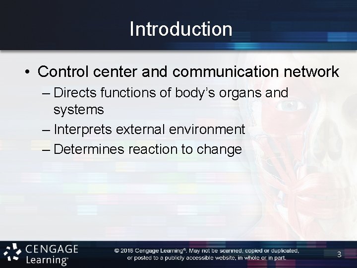 Introduction • Control center and communication network – Directs functions of body’s organs and