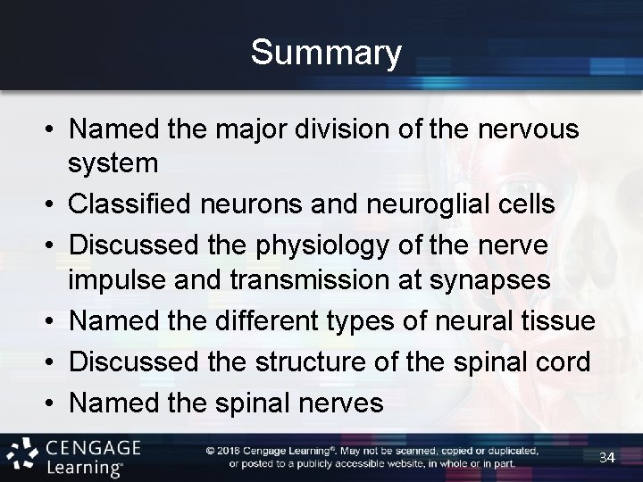 Summary • Named the major division of the nervous system • Classified neurons and