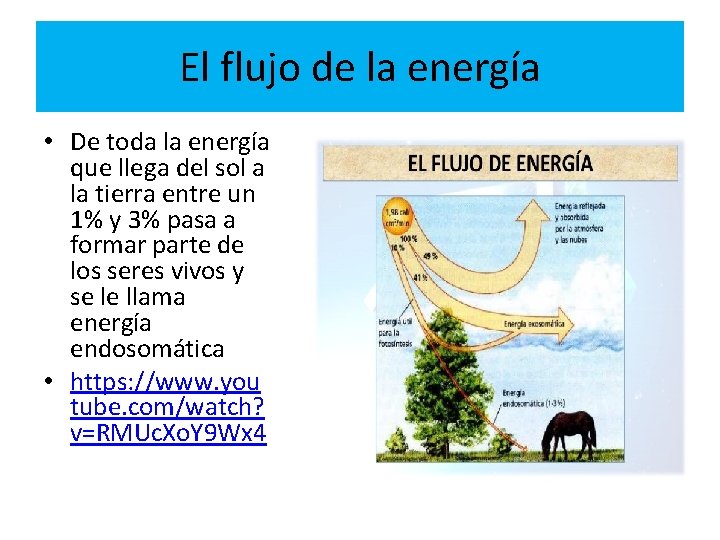 El flujo de la energía • De toda la energía que llega del sol