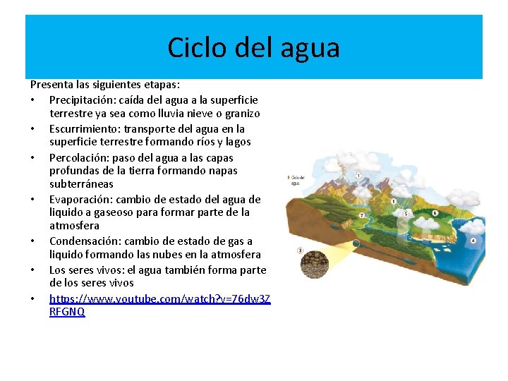 Ciclo del agua Presenta las siguientes etapas: • Precipitación: caída del agua a la