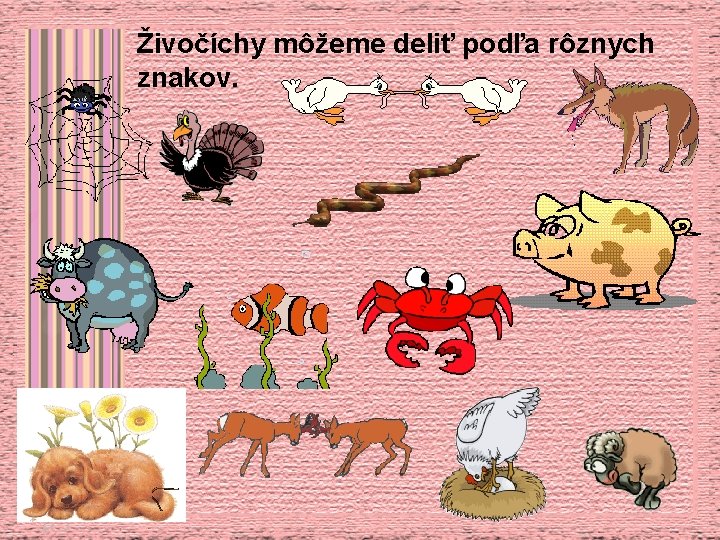 Živočíchy môžeme deliť podľa rôznych znakov. 