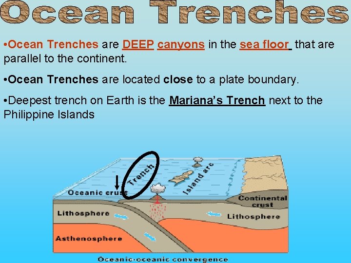  • Ocean Trenches are DEEP canyons in the sea floor that are parallel