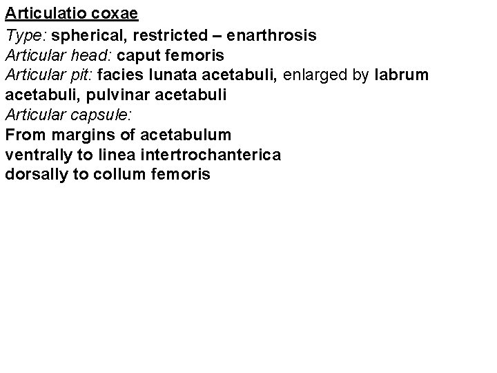 Articulatio coxae Type: spherical, restricted – enarthrosis Articular head: caput femoris Articular pit: facies