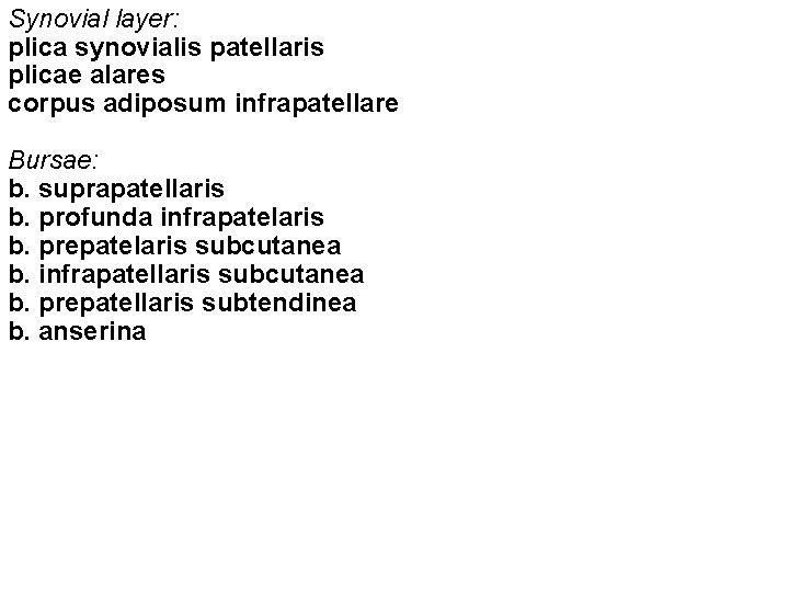 Synovial layer: plica synovialis patellaris plicae alares corpus adiposum infrapatellare Bursae: b. suprapatellaris b.