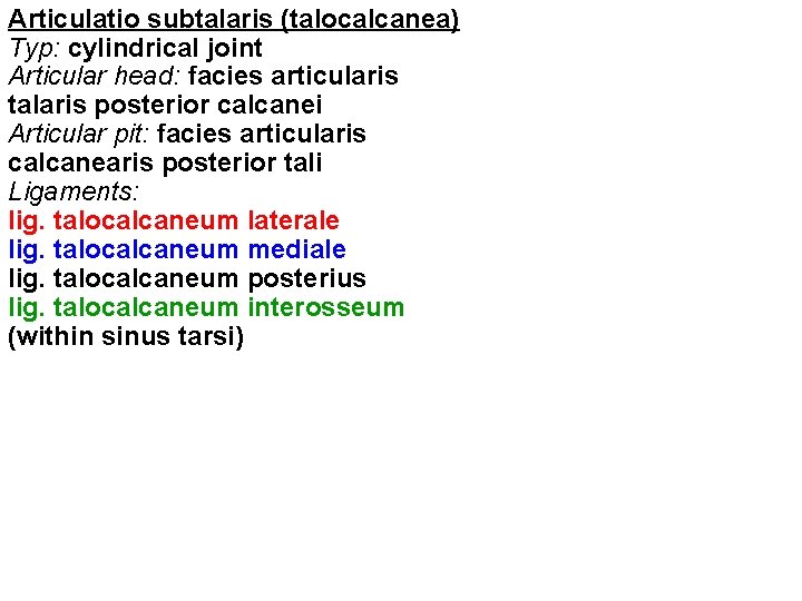 Articulatio subtalaris (talocalcanea) Typ: cylindrical joint Articular head: facies articularis talaris posterior calcanei Articular