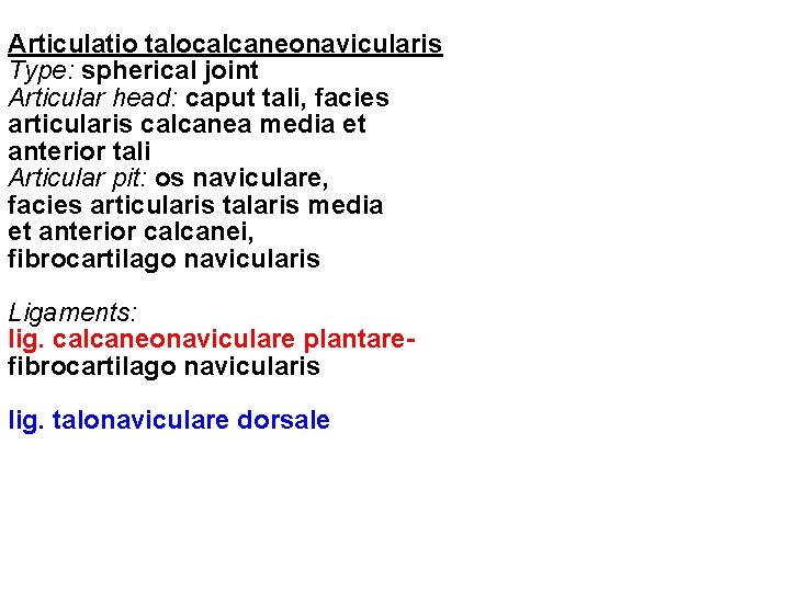 Articulatio talocalcaneonavicularis Type: spherical joint Articular head: caput tali, facies articularis calcanea media et