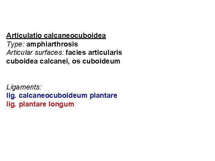 Articulatio calcaneocuboidea Type: amphiarthrosis Articular surfaces: facies articularis cuboidea calcanei, os cuboideum Ligaments: lig.