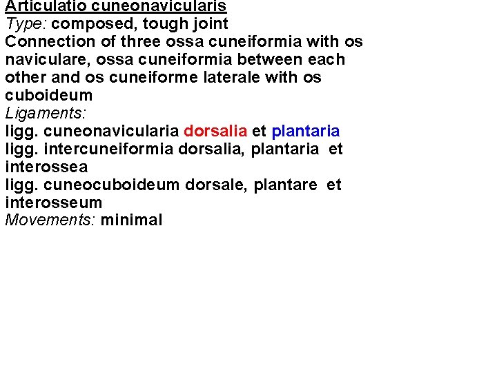 Articulatio cuneonavicularis Type: composed, tough joint Connection of three ossa cuneiformia with os naviculare,