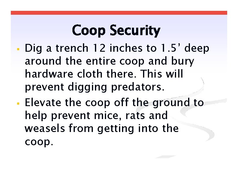 Coop Security Dig a trench 12 inches to 1. 5’ deep around the entire Coop Security Dig a trench 12 inches to 1. 5’ deep around the entire