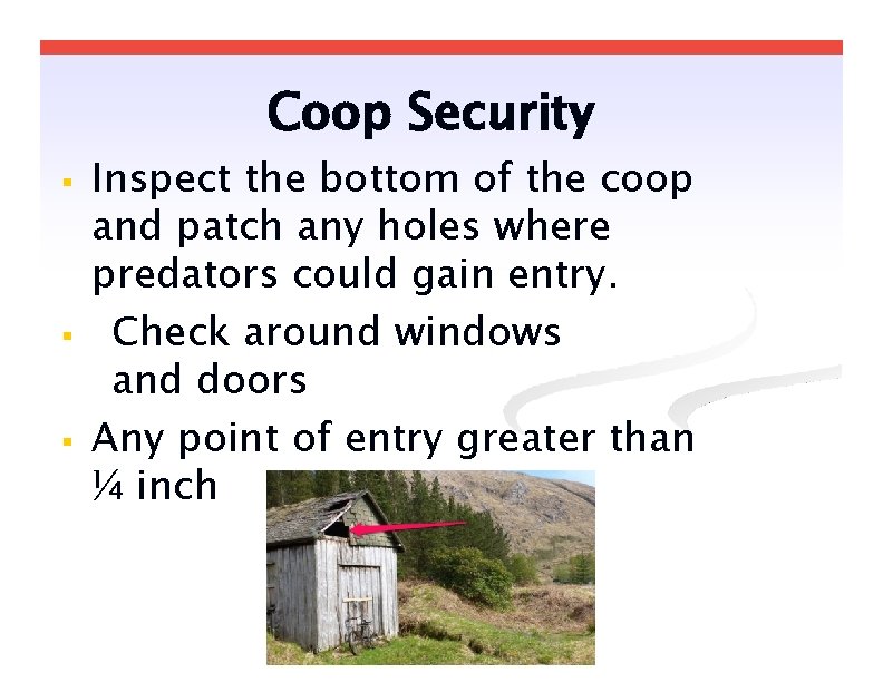 Coop Security Inspect the bottom of the coop and patch any holes where predators