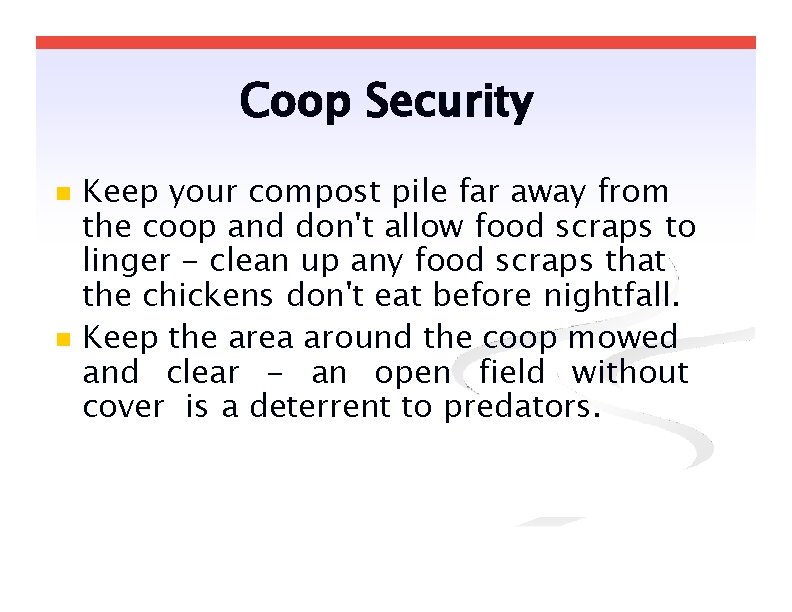 Coop Security Keep your compost pile far away from the coop and don't allow