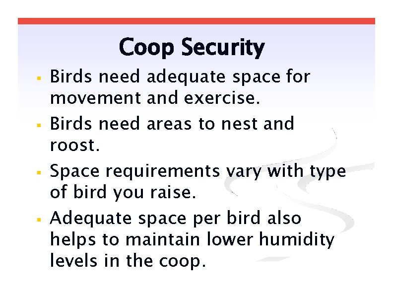 Coop Security Birds need adequate space for movement and exercise. Birds need areas to