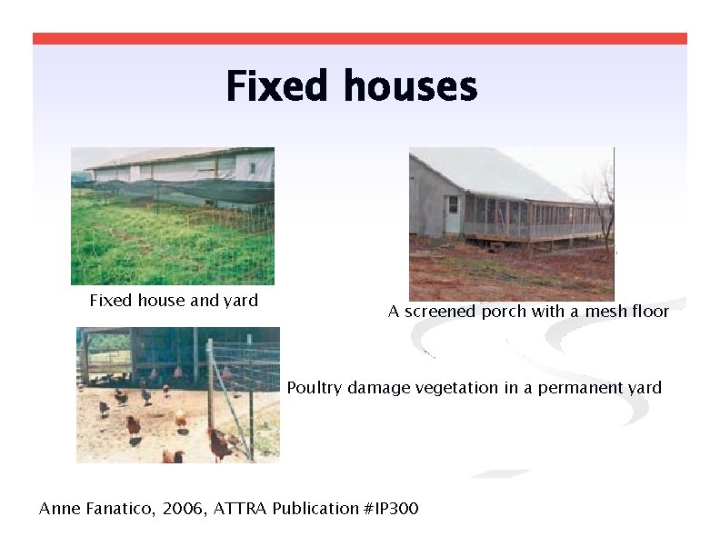 Fixed houses Fixed house and yard A screened porch with a mesh floor Poultry