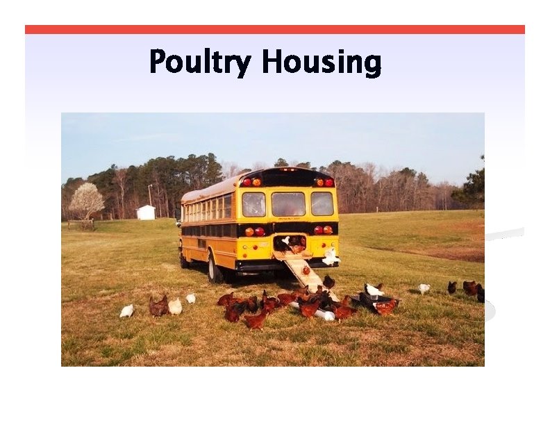 Poultry Housing 