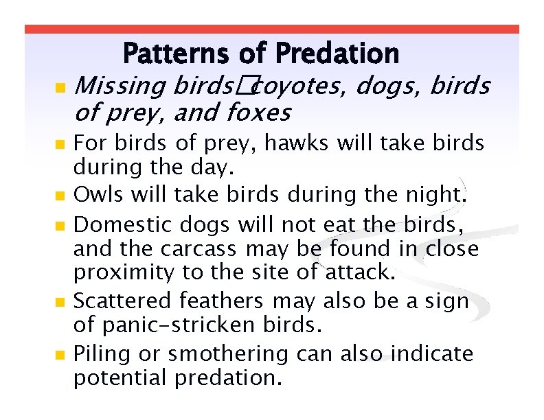 Patterns of Predation Missing birds� coyotes, dogs, birds of prey, and foxes For birds Patterns of Predation Missing birds� coyotes, dogs, birds of prey, and foxes For birds