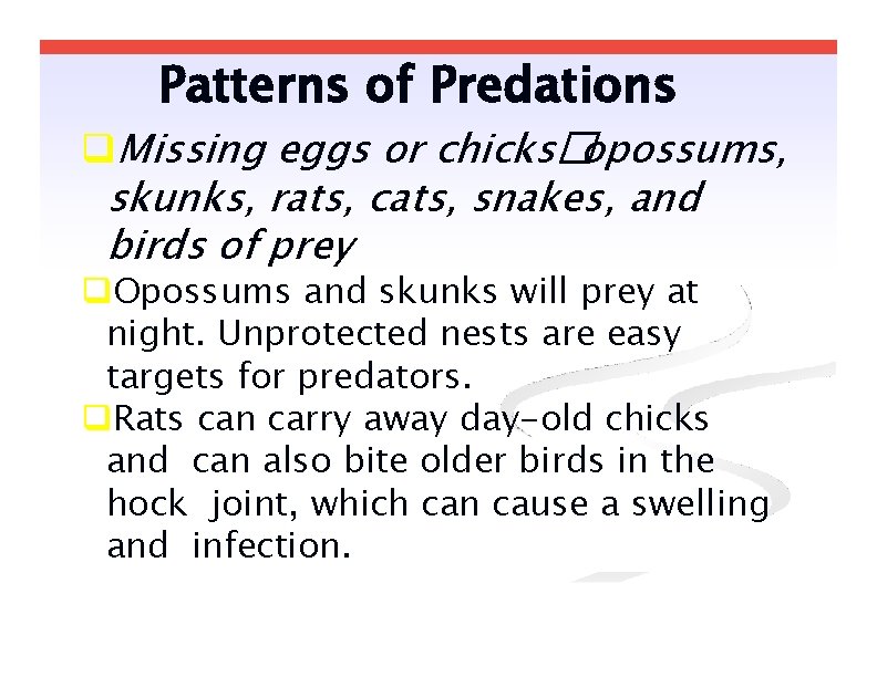 Patterns of Predations Missing eggs or chicks�opossums, skunks, rats, cats, snakes, and birds of