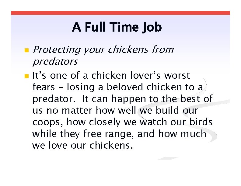 A Full Time Job Protecting your chickens from predators It’s one of a chicken