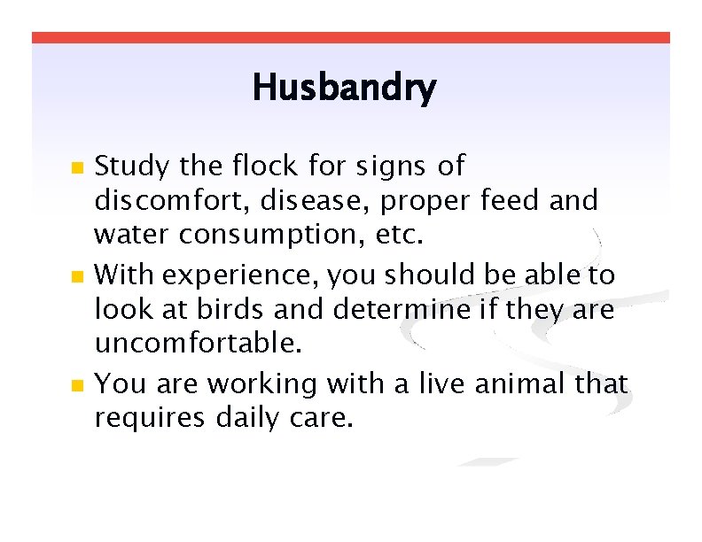 Husbandry Study the flock for signs of discomfort, disease, proper feed and water consumption,