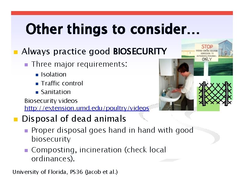 Other things to consider… Always practice good BIOSECURITY Three major requirements: Isolation Traffic control Other things to consider… Always practice good BIOSECURITY Three major requirements: Isolation Traffic control
