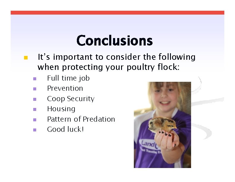 Conclusions It’s important to consider the following when protecting your poultry flock: Full time