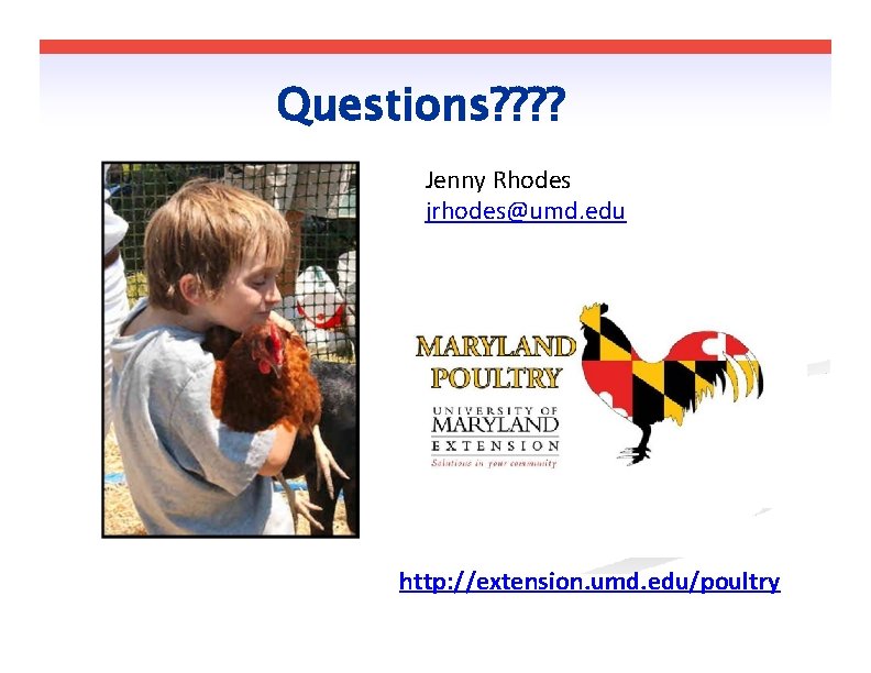 Questions? ? Jenny Rhodes jrhodes@umd. edu http: //extension. umd. edu/poultry 