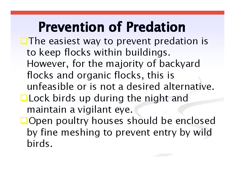 Prevention of Predation The easiest way to prevent predation is to keep flocks within