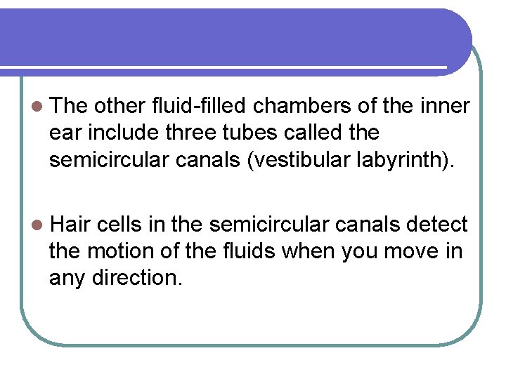 l The other fluid-filled chambers of the inner ear include three tubes called the