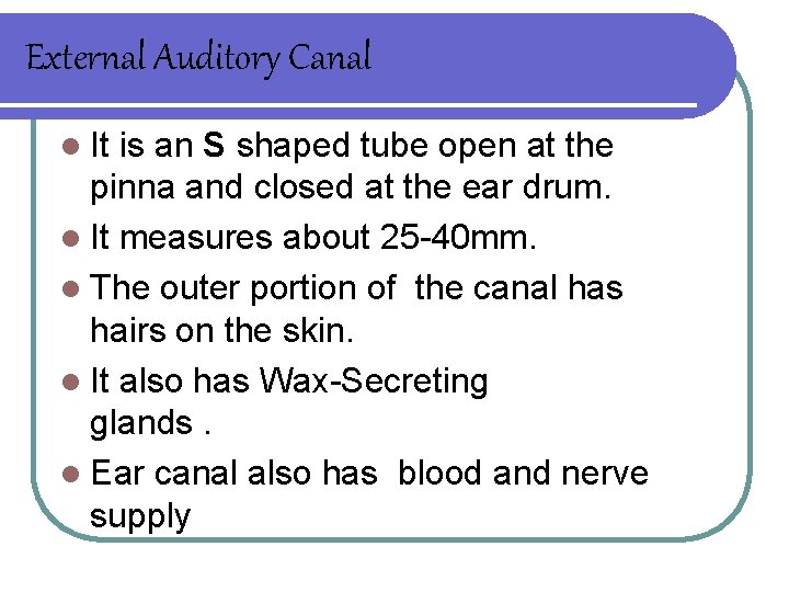 External Auditory Canal l It is an S shaped tube open at the pinna