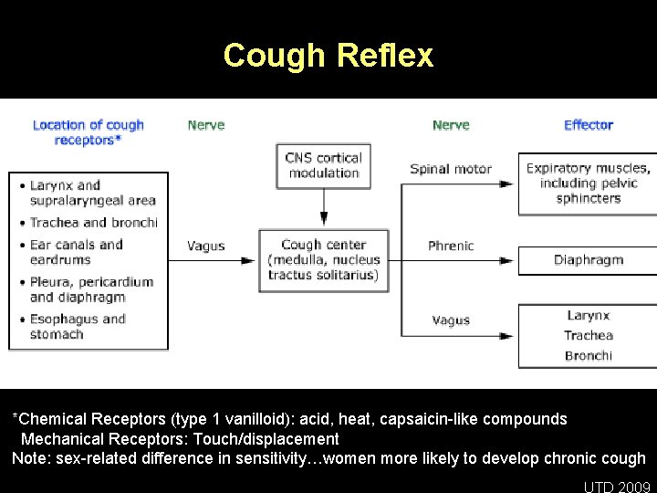 Cough Reflex *Chemical Receptors (type 1 vanilloid): acid, heat, capsaicin-like compounds Mechanical Receptors: Touch/displacement