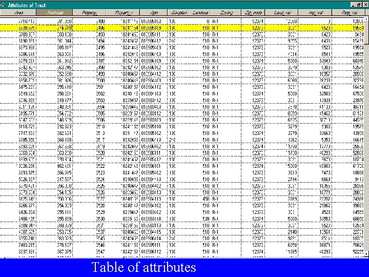 Table of attributes 