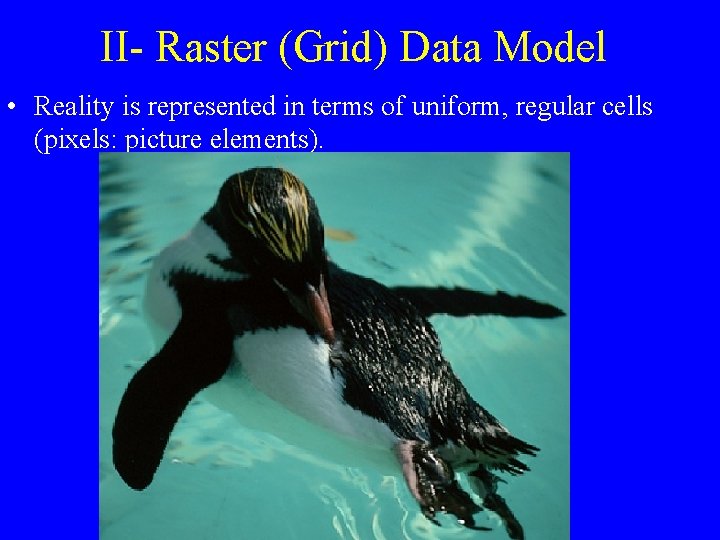 II- Raster (Grid) Data Model • Reality is represented in terms of uniform, regular