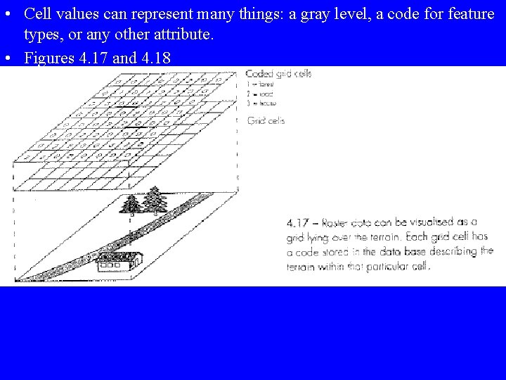  • Cell values can represent many things: a gray level, a code for