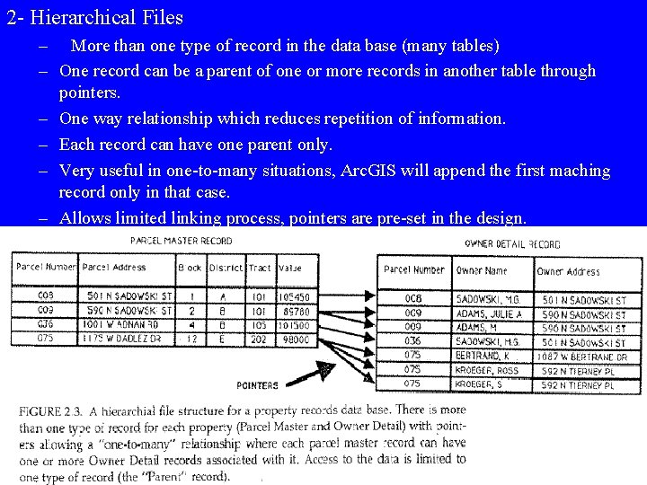 2 - Hierarchical Files – More than one type of record in the data