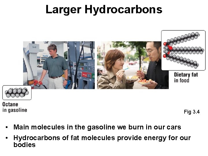 Larger Hydrocarbons Fig 3. 4 • Main molecules in the gasoline we burn in