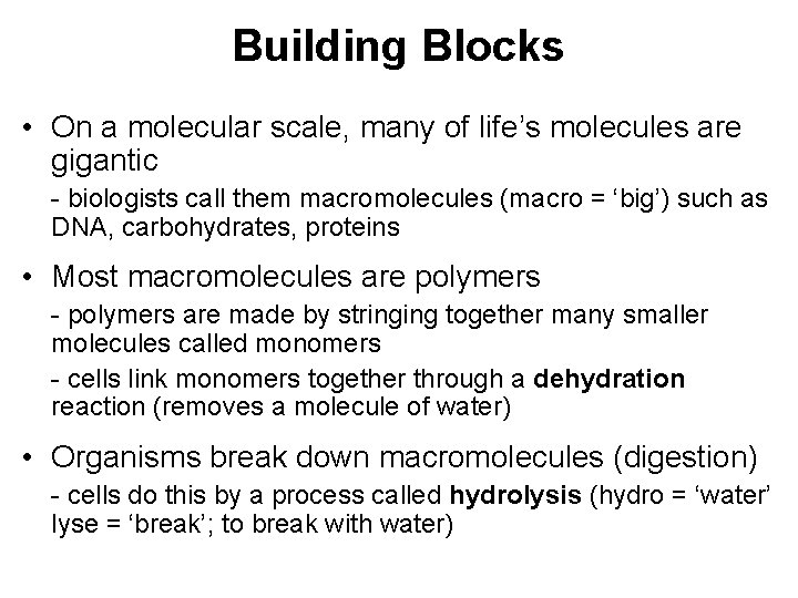 Building Blocks • On a molecular scale, many of life’s molecules are gigantic -