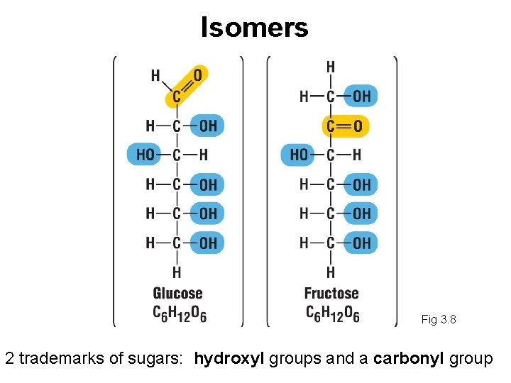 Isomers Fig 3. 8 2 trademarks of sugars: hydroxyl groups and a carbonyl group