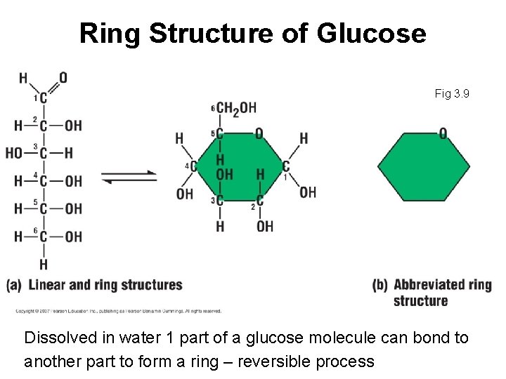 Ring Structure of Glucose Fig 3. 9 Dissolved in water 1 part of a