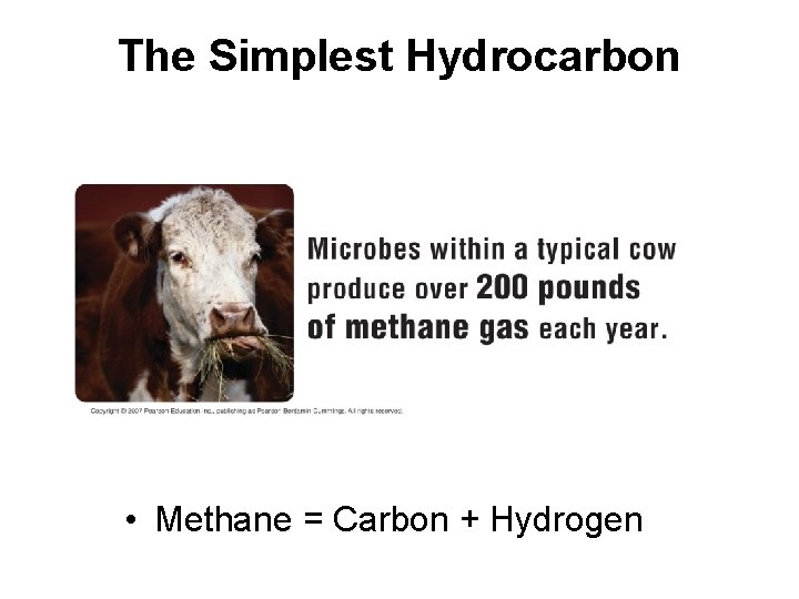 The Simplest Hydrocarbon • Methane = Carbon + Hydrogen 