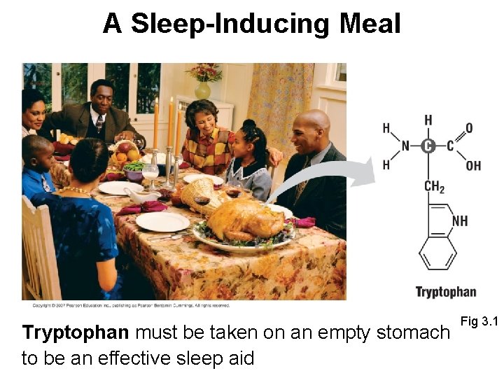 A Sleep-Inducing Meal Tryptophan must be taken on an empty stomach to be an