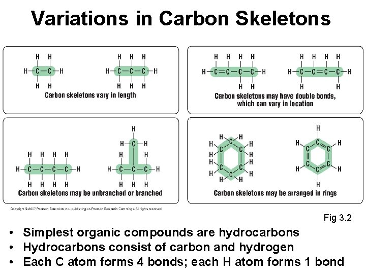 Variations in Carbon Skeletons Fig 3. 2 • Simplest organic compounds are hydrocarbons •