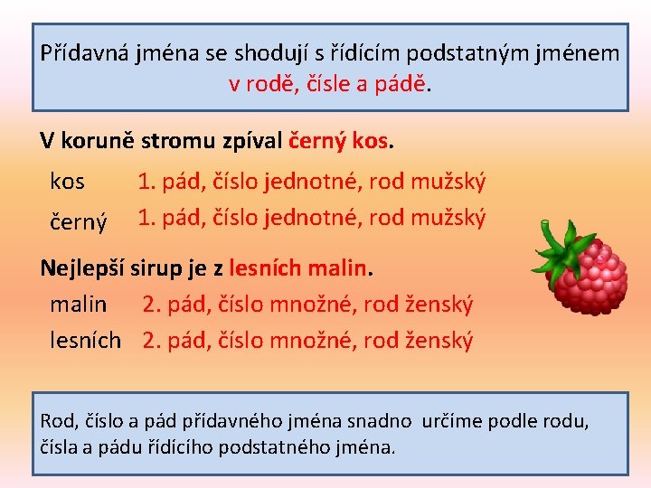 Přídavná jména se shodují s řídícím podstatným jménem v rodě, čísle a pádě. V